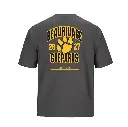 Visuels_Guepards_s05280_Dos gris.webp